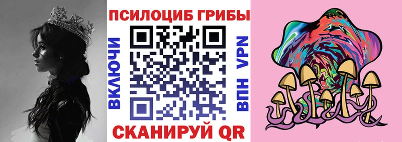 omg   Петропавловск-Камчатский  Галлюциногенные грибы MAGIC MUSHROOMS 